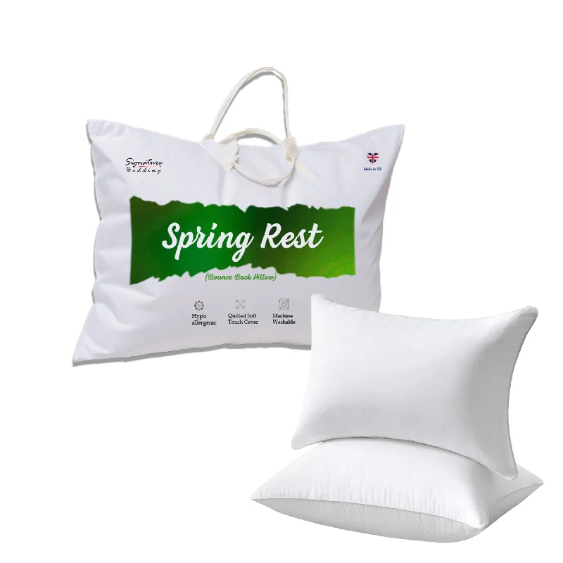 Top Bounce Back Anti Allergic Hotel Quality Plump Pillows to Upgrade Your Sleep