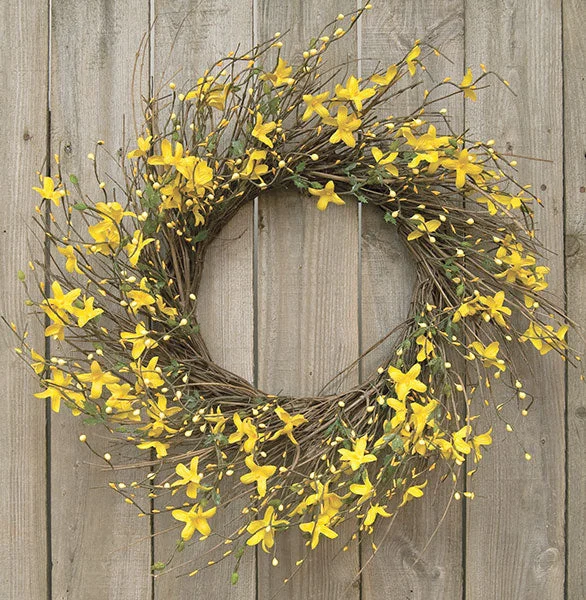 Star Forsythia Wreath 20"